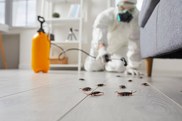 Commercial Kitchen Cockroach Control in Marianna